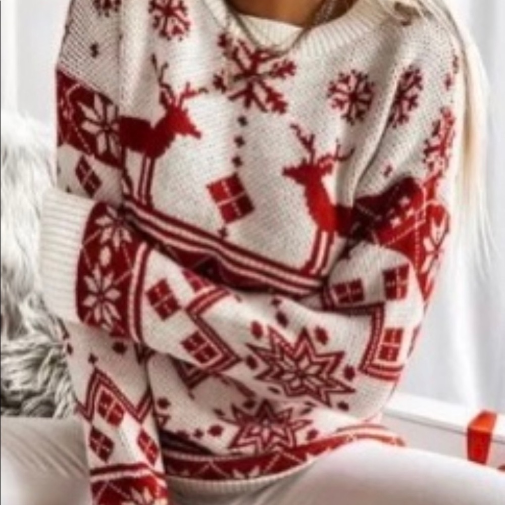 Round Neck Animal Loose Regular Sweater Shift Color: Red and White Size: M